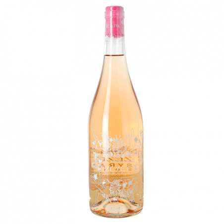 zezette syrah rose 