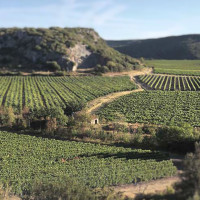 Domaine Léo Vareille