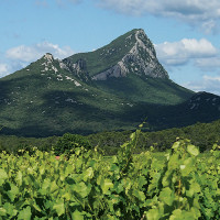 Château l'Euzière